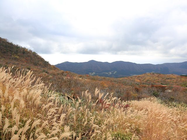 🇯🇵秋遊箱根大涌谷