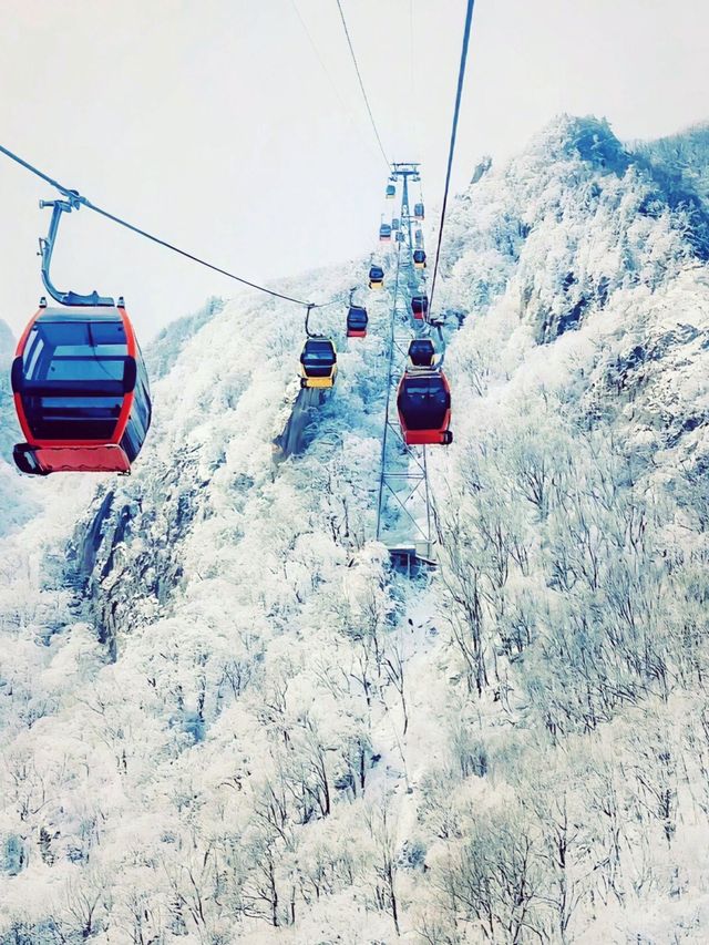 這個冬季還得去趟老君山