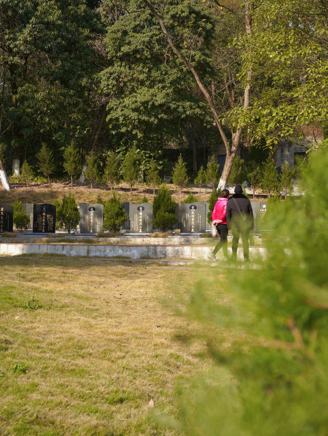 綿陽近郊免費寶藏森林公園