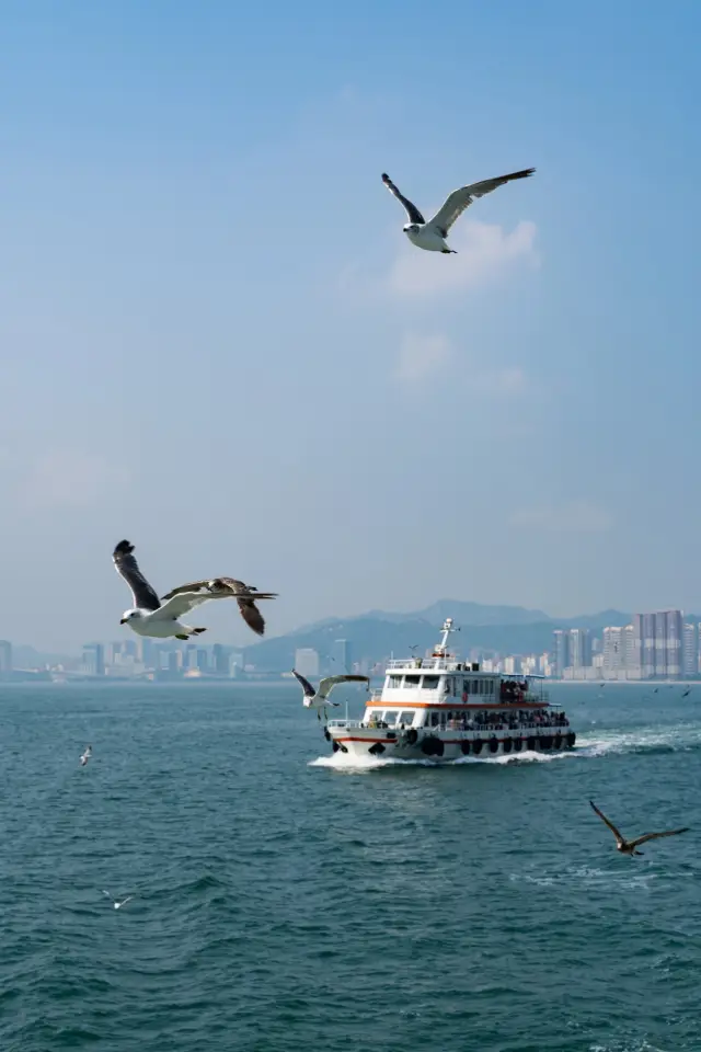 海上の真珠、リュウコウ島！