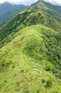 江門牛塘山｜最佳路線攻略