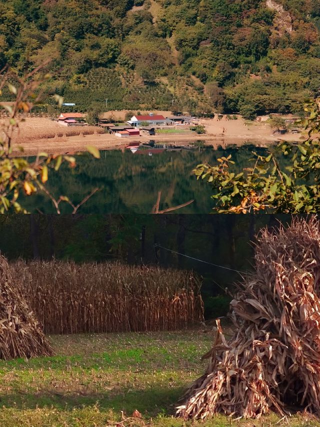 綠江村詳解，人世間的柳暗花明