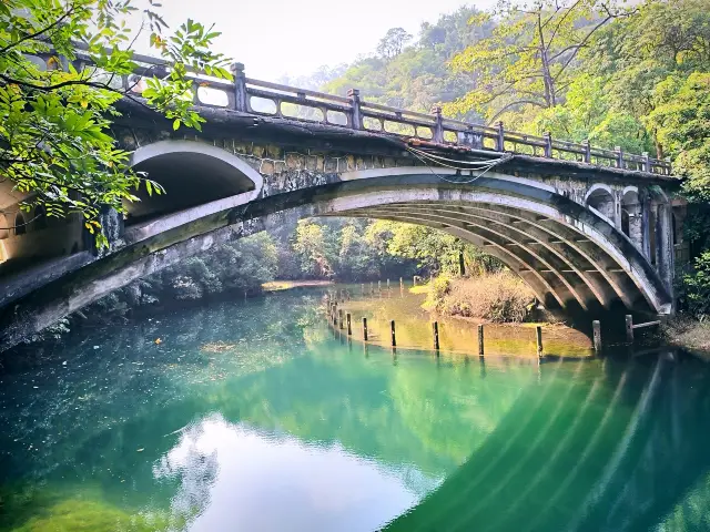 打卡珠三角天然大氧吧～鼎湖山