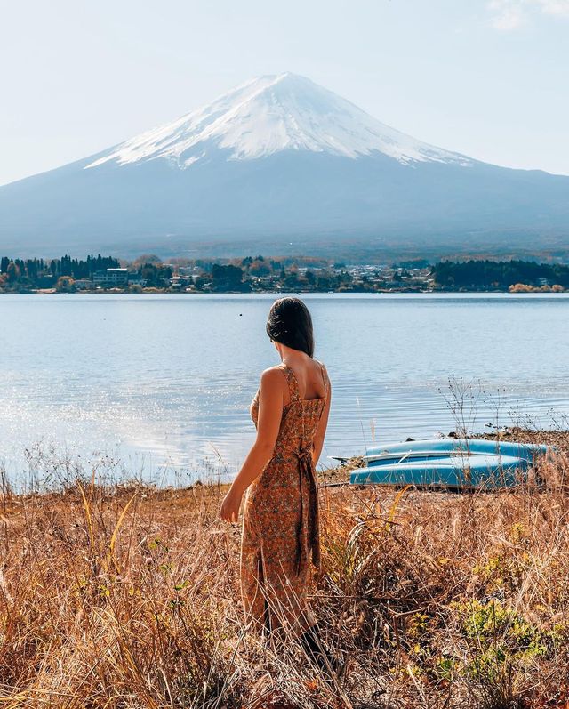 🗻✨ Mt. Fuji's Unique Perspectives: A Fresh Angle Unveiled! 🤭