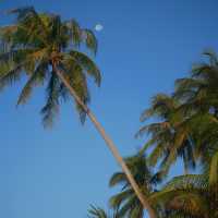Unwind and Explore in Phan Thiet