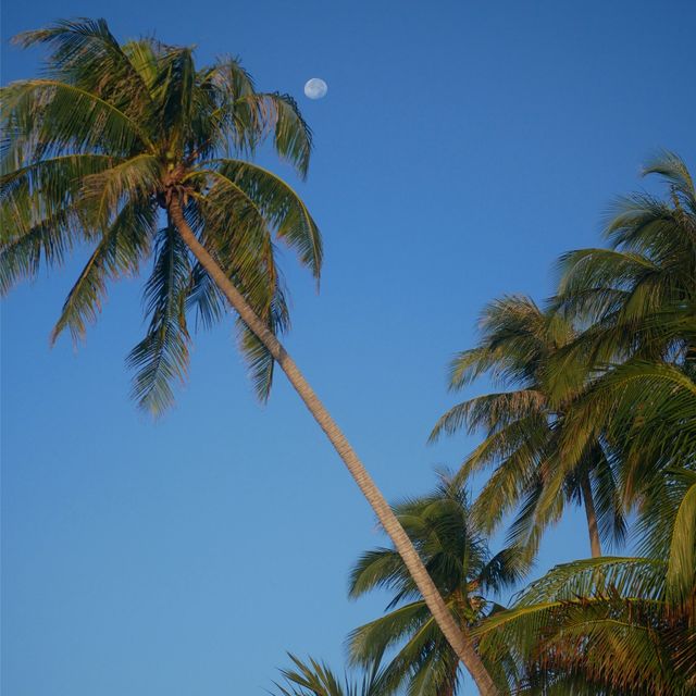Unwind and Explore in Phan Thiet