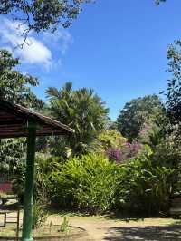 Kandy Botanical Gardens, Sri Lanka🇱🇰🌸🪷