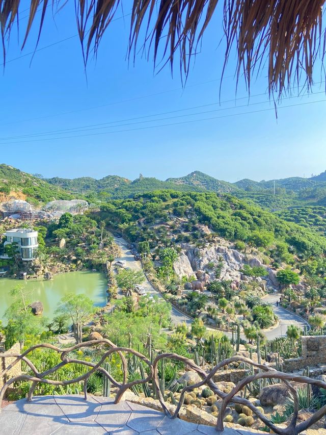 福建石岩植物園復活島的搬到國內了
