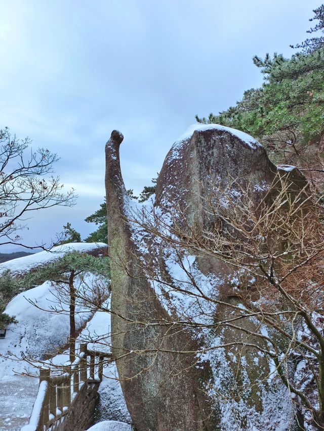 雪後天柱山宛若寫意山水畫！雪天攻略來啦！