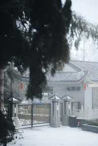 武漢的雪，落在了木蘭山之上