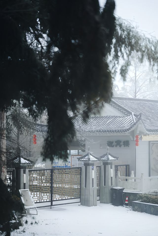 武漢的雪，落在了木蘭山之上
