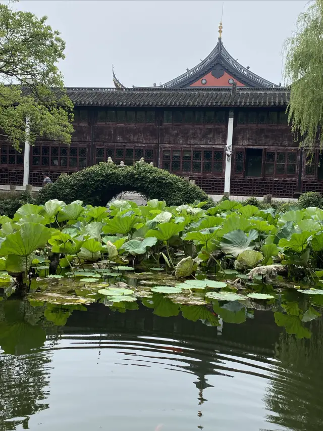 上海の庭園｜水郷青浦の曲水庭園