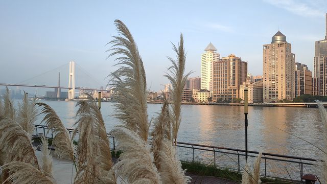 一橋飛架黃浦江—南浦大橋