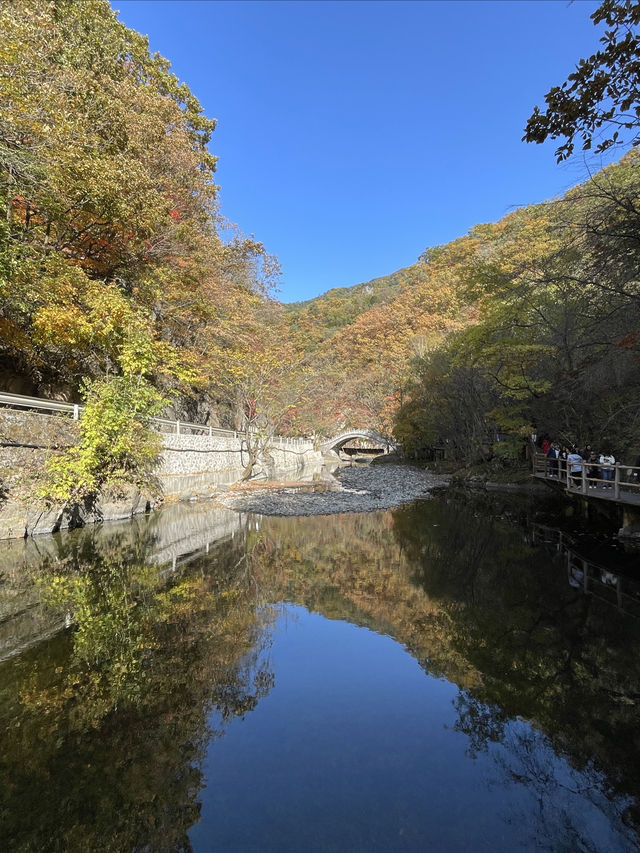 關門山國家森林公園看紅葉