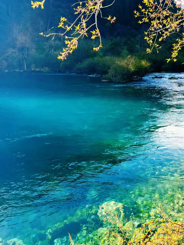 Jiuzhaigou is absolutely beautiful! You must go!!!