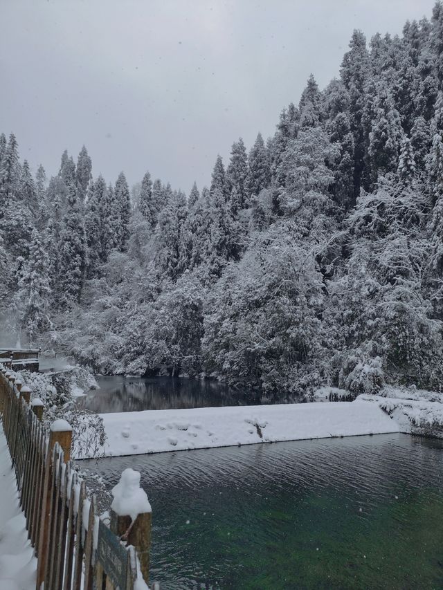 我在這裡看到了大雪紛飛這裡雪超厚