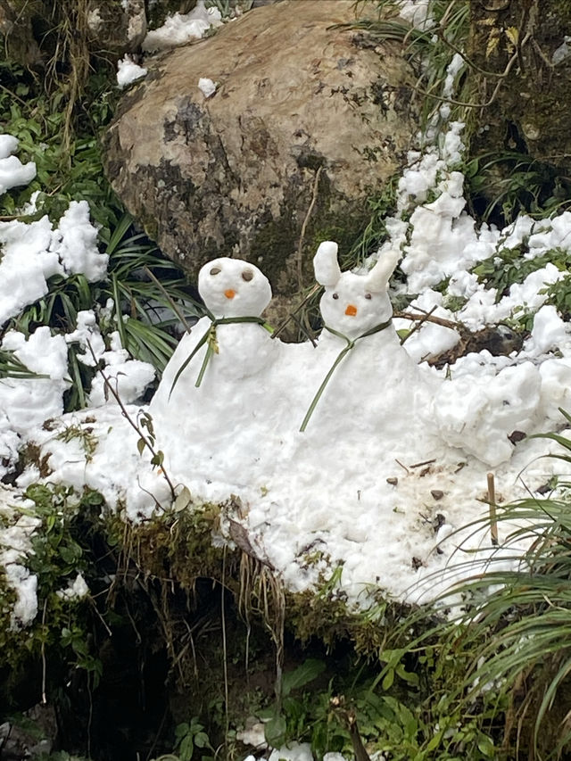 在融化之前，再去青城後山看看雪吧（附攻略