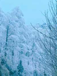 一山賞盡秋山雪色，四明山自駕路線及機位