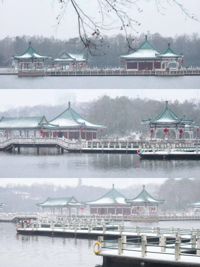 看看下雪天的東湖 /碧潭觀雪