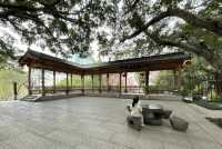 屏山公園賞櫻
