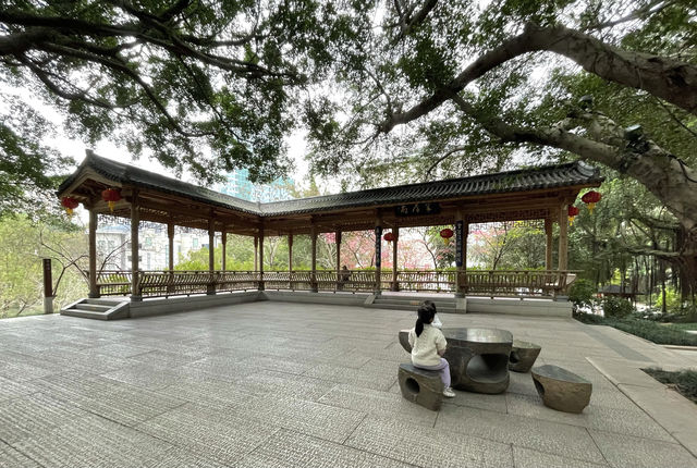 屏山公園賞櫻
