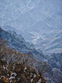 白石山｜北方小黃山一步一景