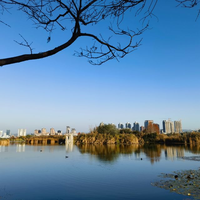雲南旅遊不只有大理、麗江，到彌勒這個地方去感受椰風海韻