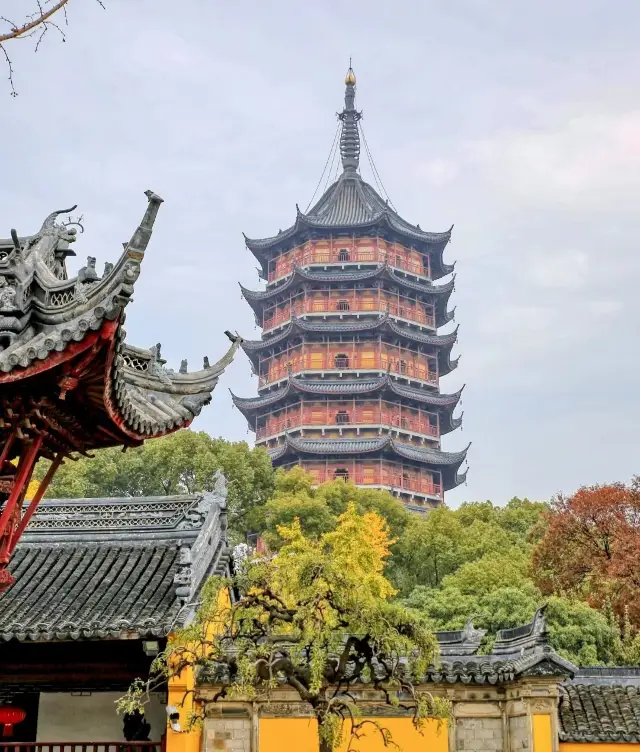 The Suzhou North Tower in the ginkgo