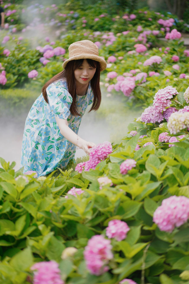 來排個名看看魔都哪裡的無盡夏最好拍！