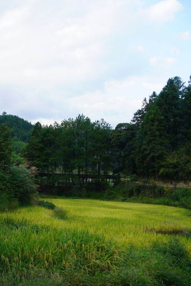 寧德屏南自駕旅遊攻略