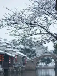 下雪的西塘真的離譜！