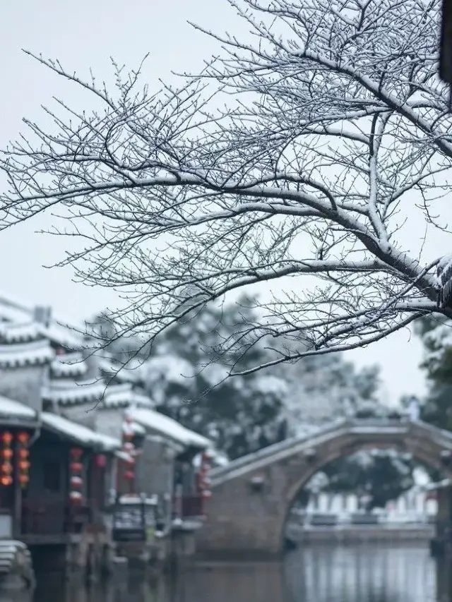 눈 내리는 서당이 정말 이상해요!