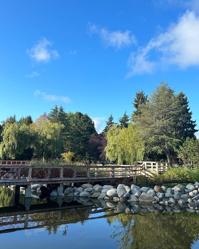 明納努公園：列治文的綠色寶藏，讓你盡情暢遊！