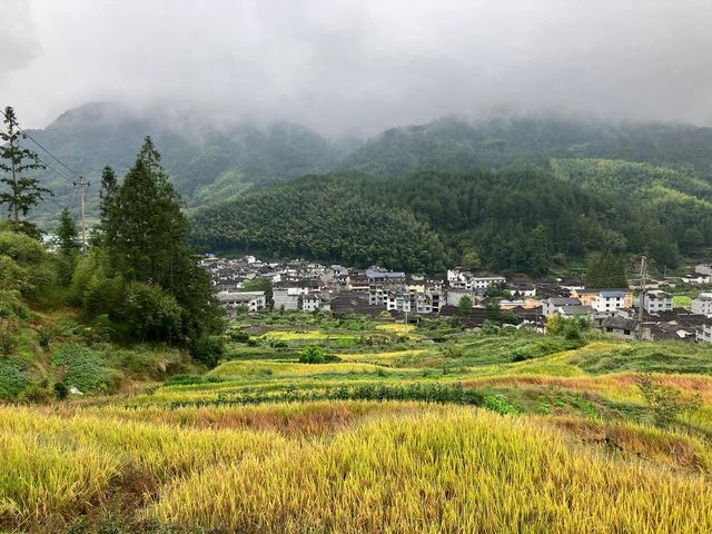 景美人少的地方嗎？——慶元月山村