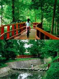 城市短逃離，成都溫江魯家灘濕地公園半日閒