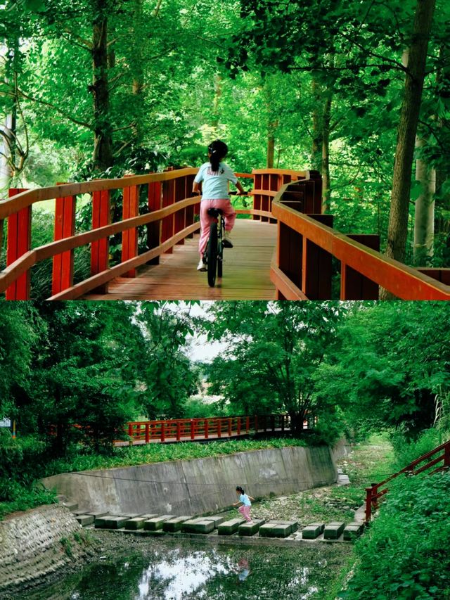 城市短逃離，成都溫江魯家灘濕地公園半日閒