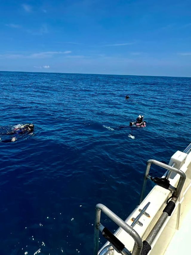 來陵水不潛水等於白來！探索分界洲島海底秘境