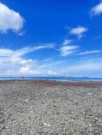 深圳｜看海必打卡的地方