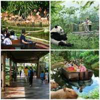 新加坡河川生態園，來一場世界名川上的動物奇遇記