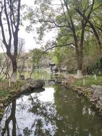 吃完早餐後，來金華婺州公園溜達一圈