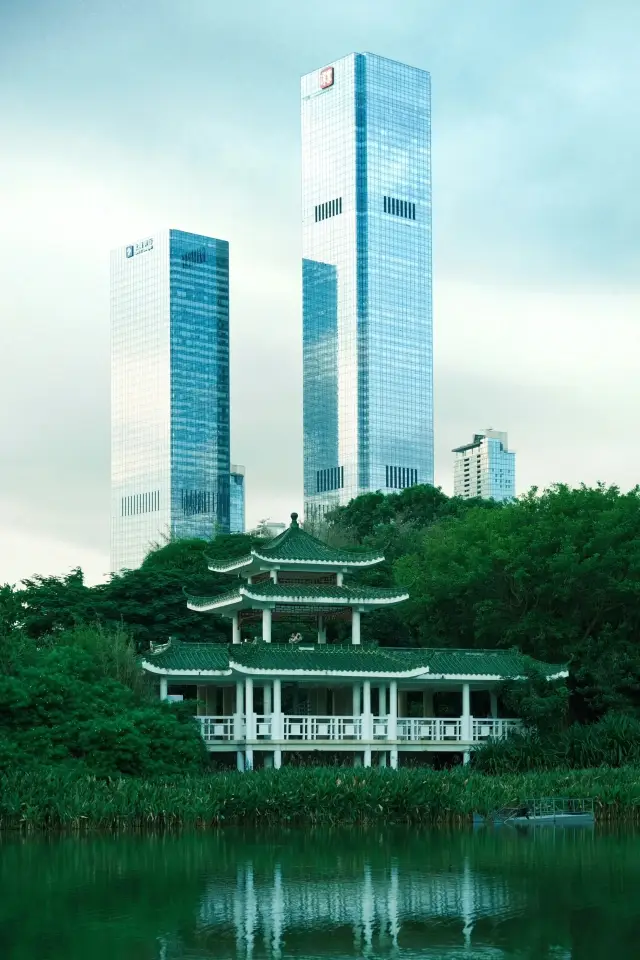 Shenzhen Central Park Travel Guide