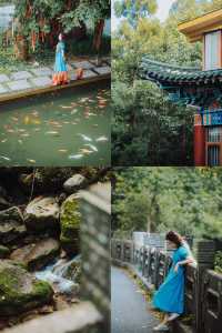 面山背寺，山野私湯的悠然週末