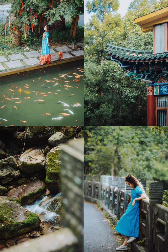 面山背寺，山野私湯的悠然週末
