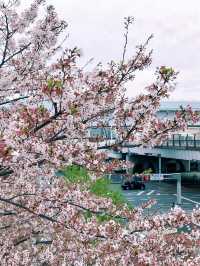 去公園吧！御台場之東京灣暢想曲