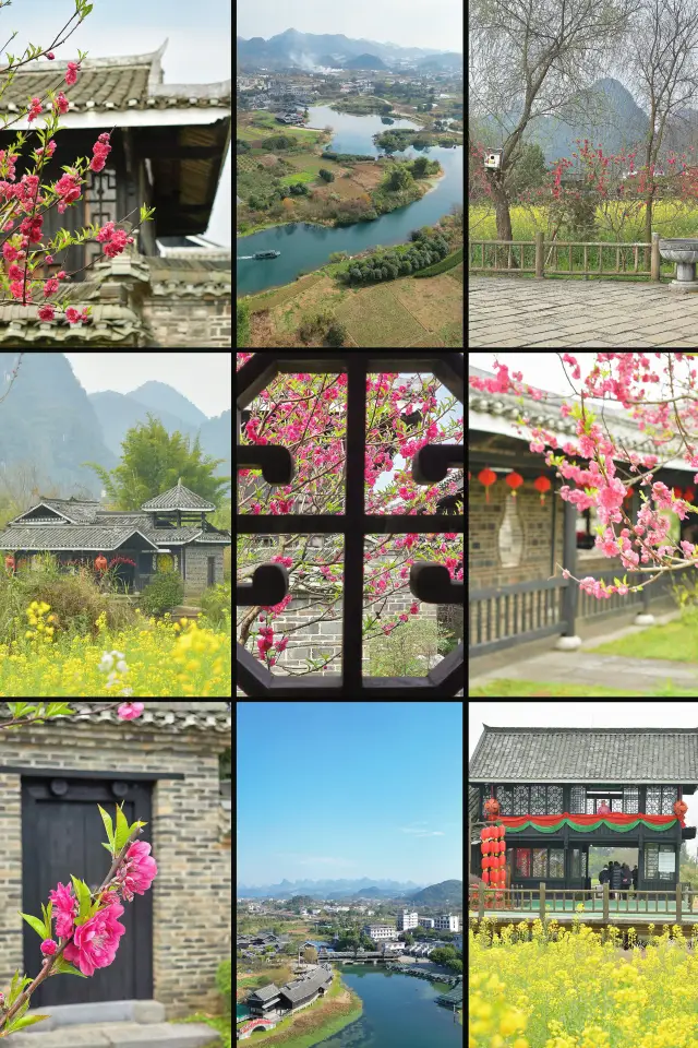 Spring Outing Flower Viewing Diary | Entering Guilin's "Peach Blossom Land" (With Tips)