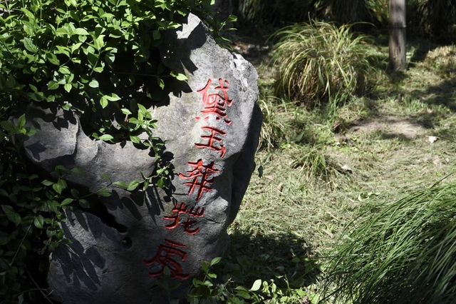 劉姥姥進了大觀園
