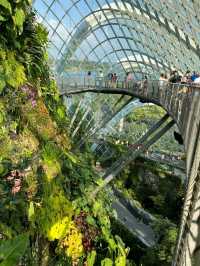 Mind-blowing Cloud Forest Singapore 🇸🇬