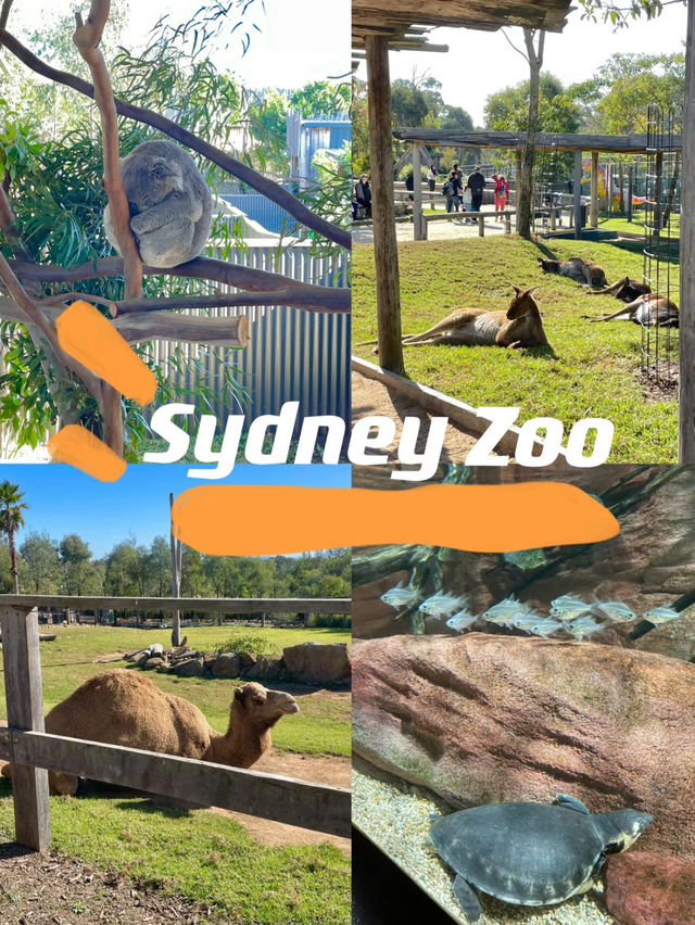 Sydney Zoo Great weekend Destination 🦘🇦🇺