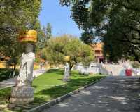 湖北荊門太子山國家森林公園‖荊門必打卡景點之一