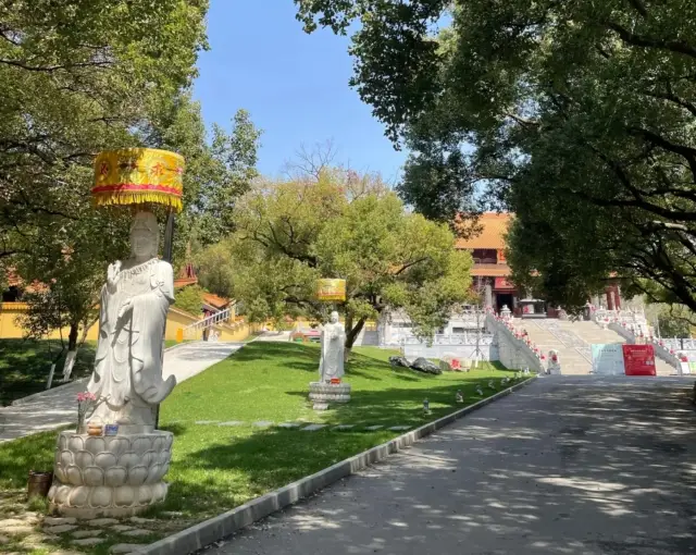 Taizi Mountain National Forest Park in Jingmen, Hubei | One of the must-visit attractions in Jingmen